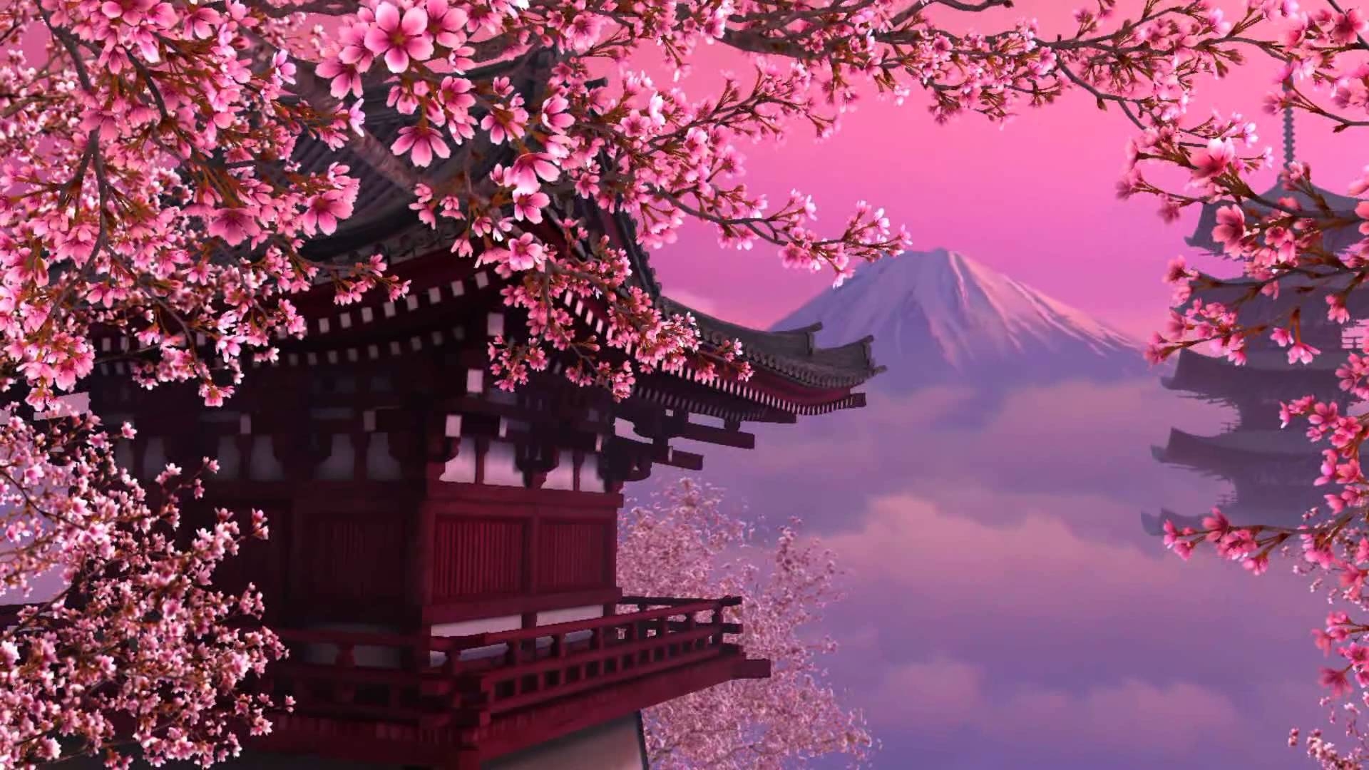 1920x1080 wallpaper japan cherry blossoms, Desktop