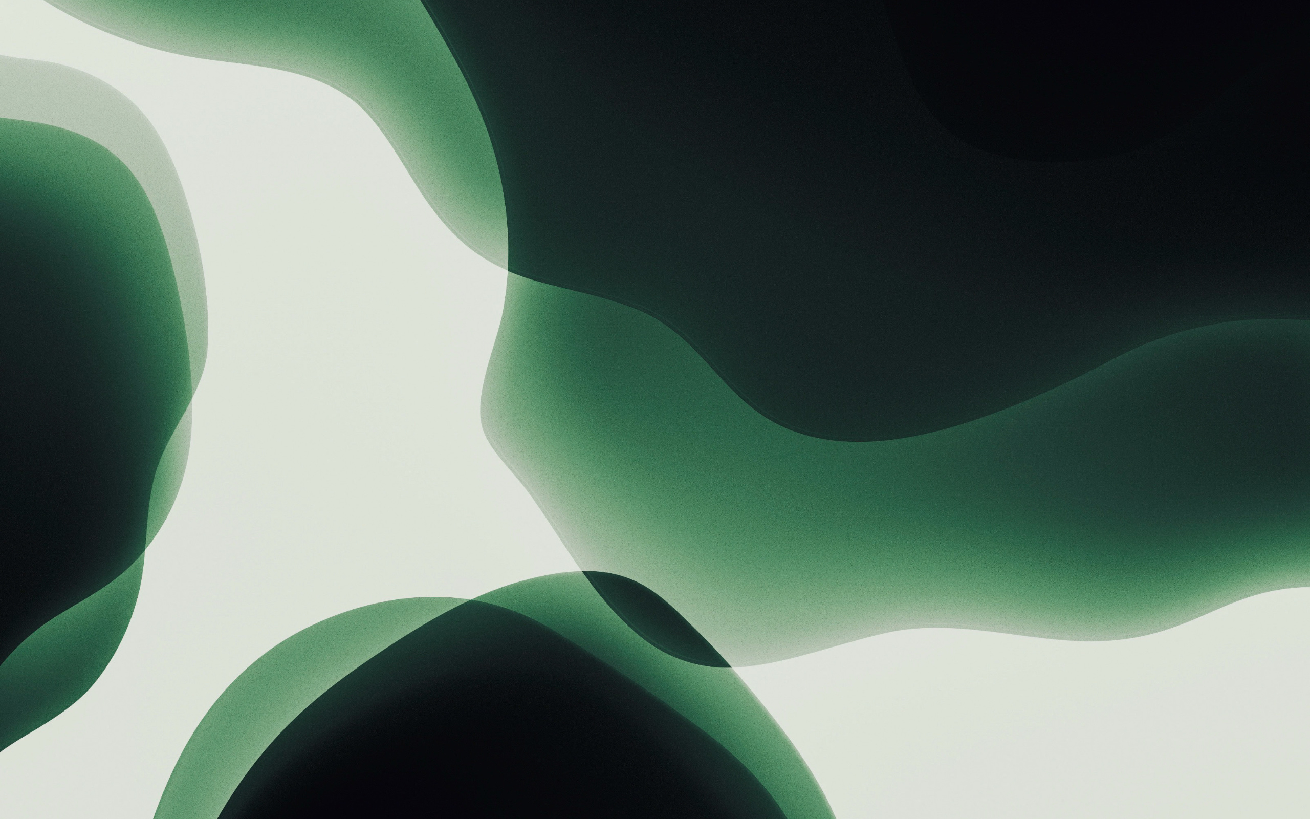 2560x1600 Midnight Green wallpaper, Desktop