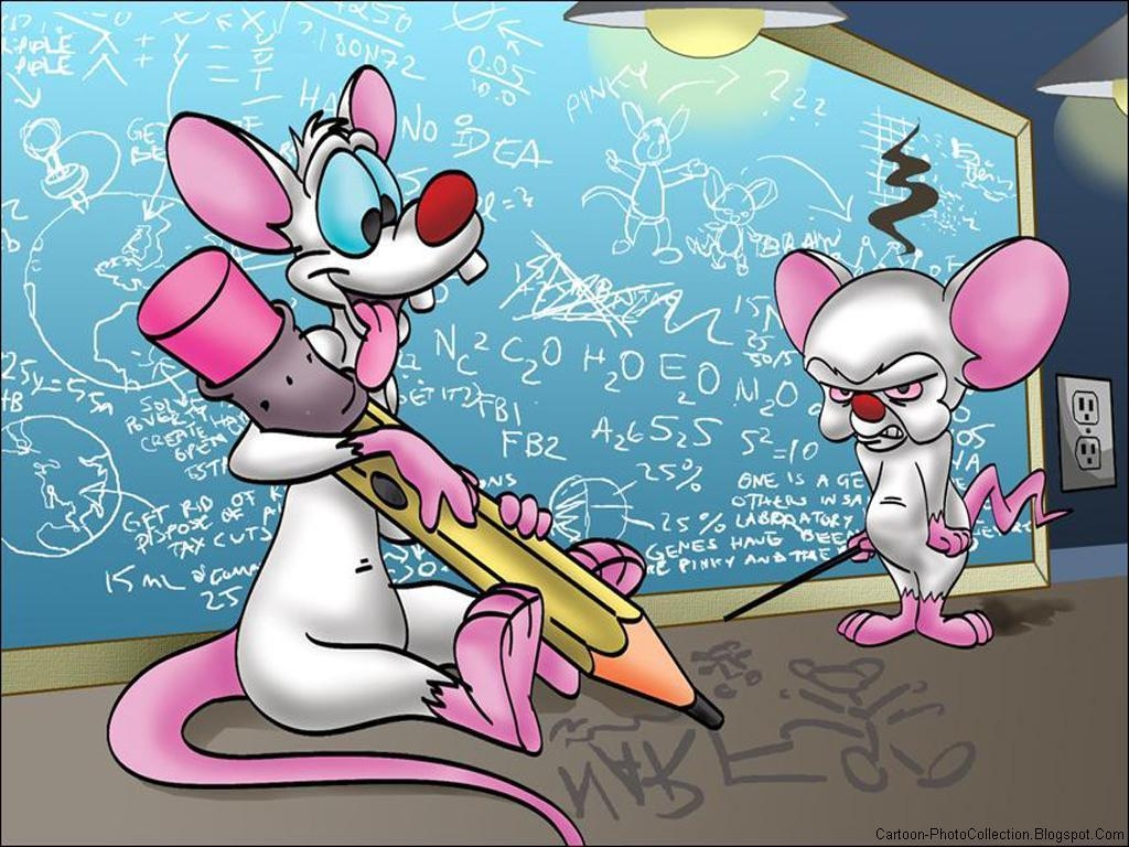 1030x770 My Pinky and The Brain Personality, Desktop