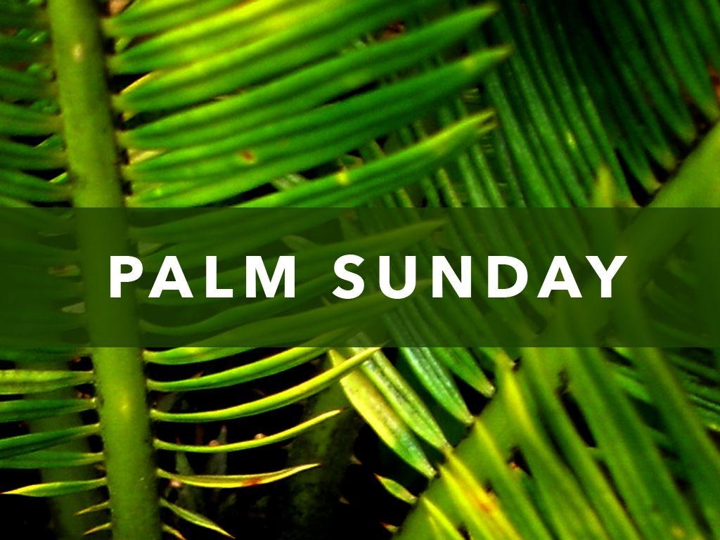 1030x770 Palm Sunday JAM « Magheralin Parish, Desktop