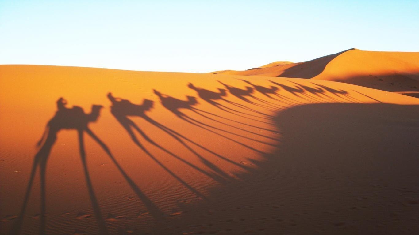 1370x770 Camels Shadow in Sahara Desert Wallpaper, Desktop