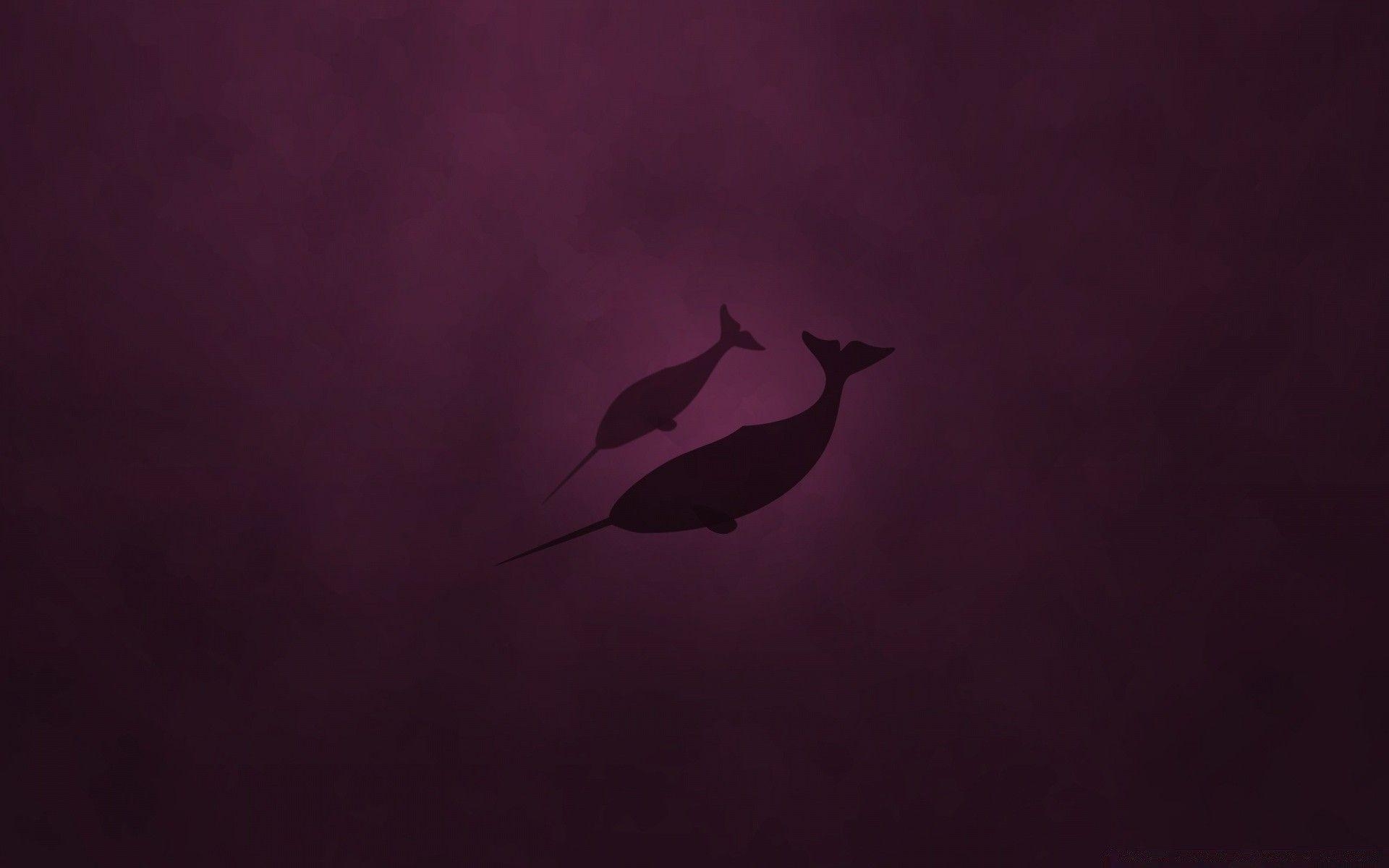 1920x1200 Linux Natty Narwhal. Android wallpaper for free, Desktop