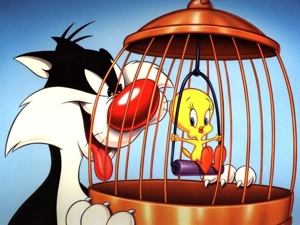 1030x770 Tweety Bird Wallpaper Bird Wallpaper, Desktop