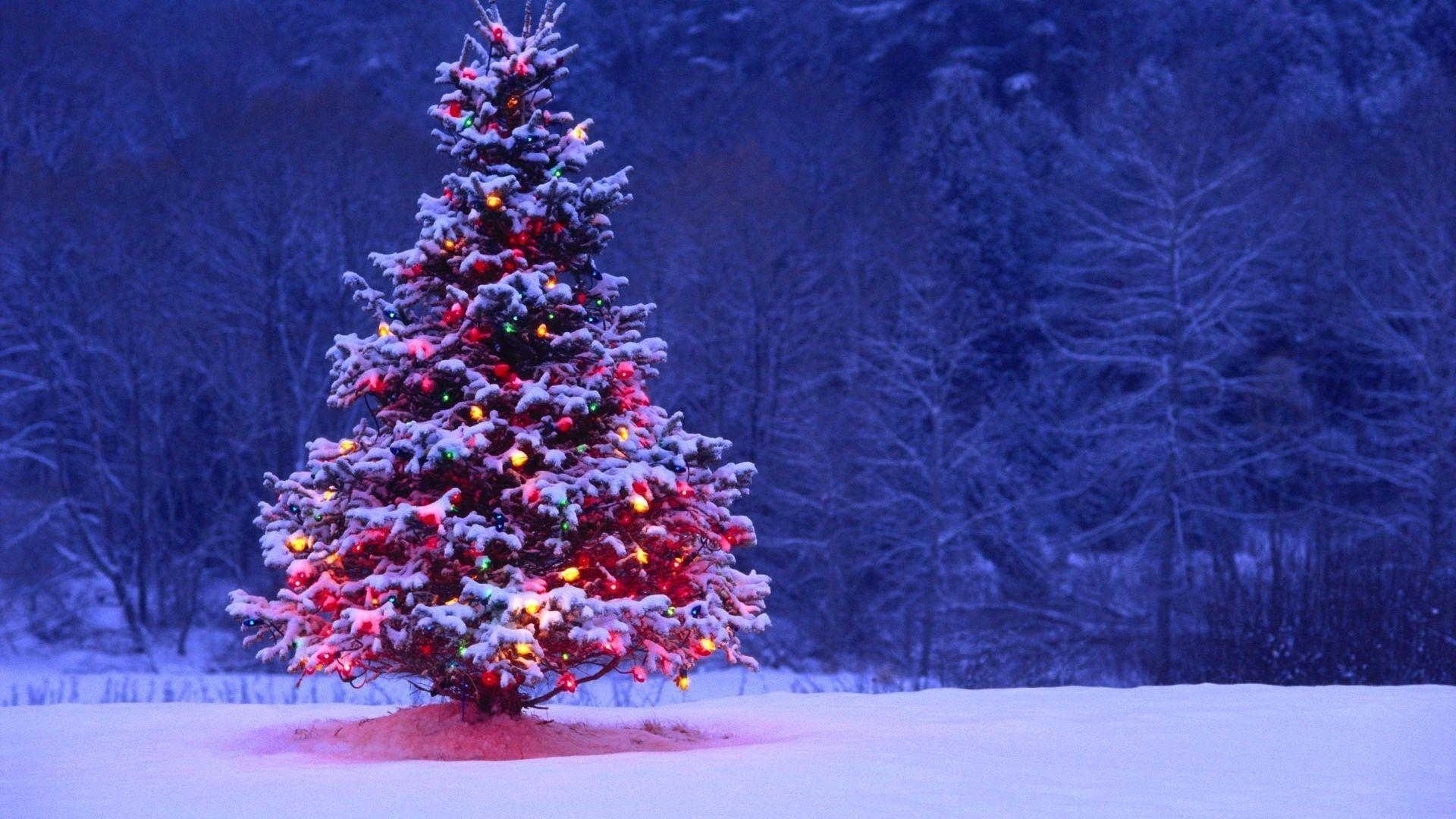 1920x1080 Christmas Tree Desktop Wallpaper, Desktop