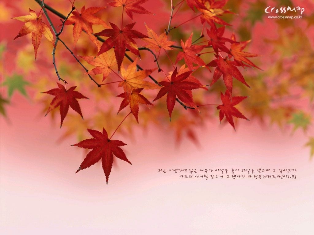 1030x770 Christian Wallpaper Bible Verses 04wallp110, Desktop