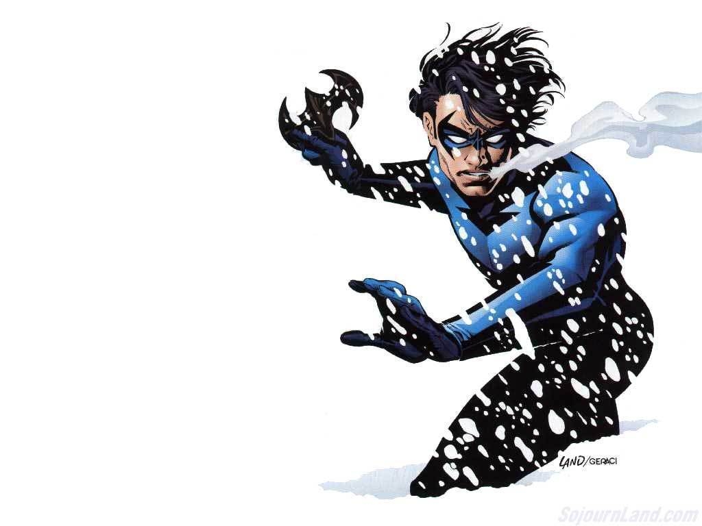 1030x770 Teen Titans Image Dick Grayson Nightwing HD Wallpaper, Desktop