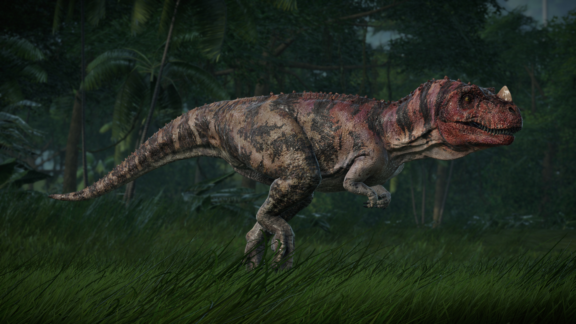 1920x1080 Ceratosaurus. Jurassic world dinosaurs, Jurassic park world, Jurassic world, Desktop