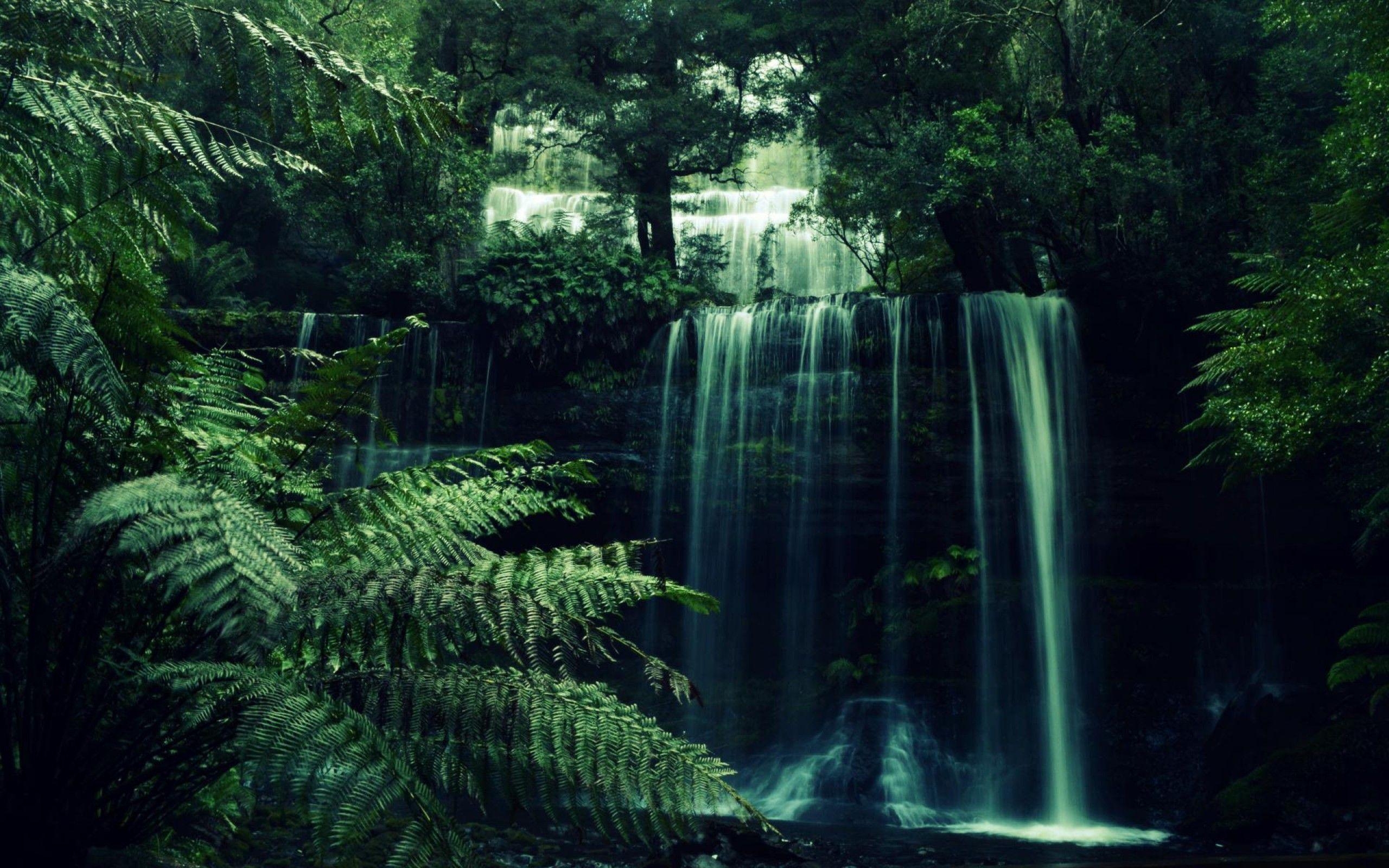 2560x1600 Forest Waterfall Desktop Wallpaper at, Desktop