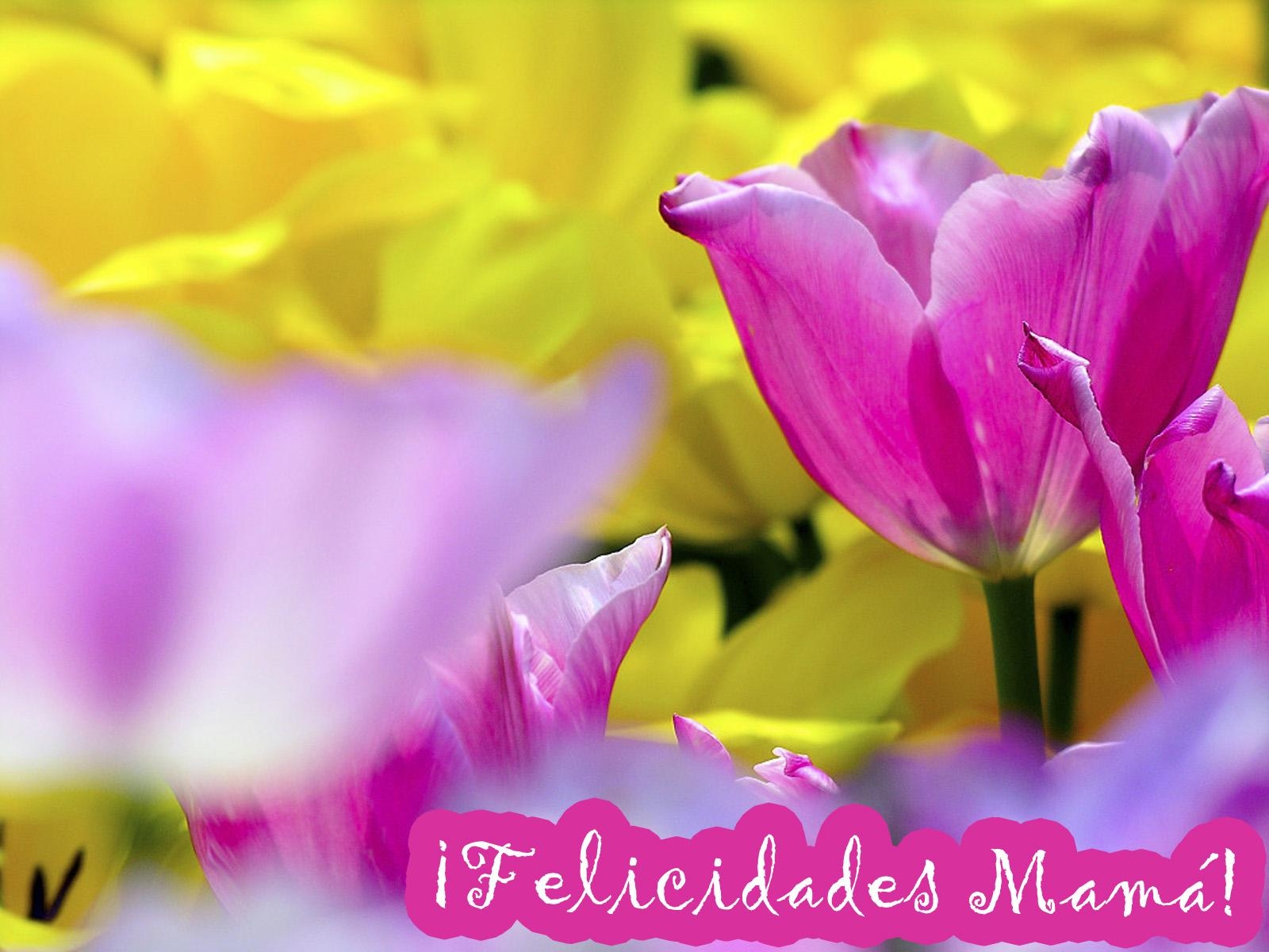 1600x1200 Feliz día de las madres, Desktop