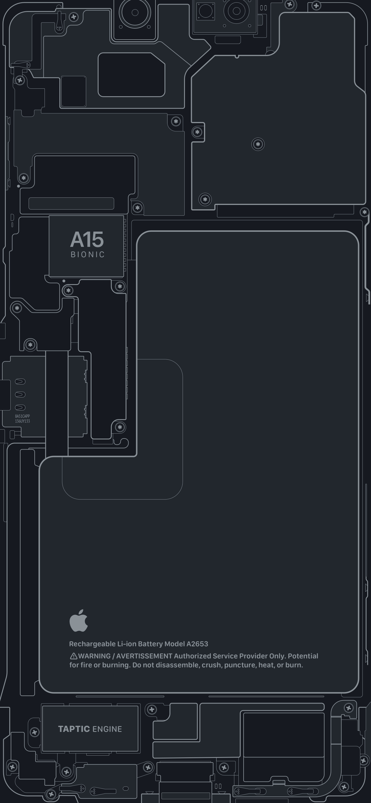 1290x2780 iPhone 13 Pro Schematic Wallpaper, Phone