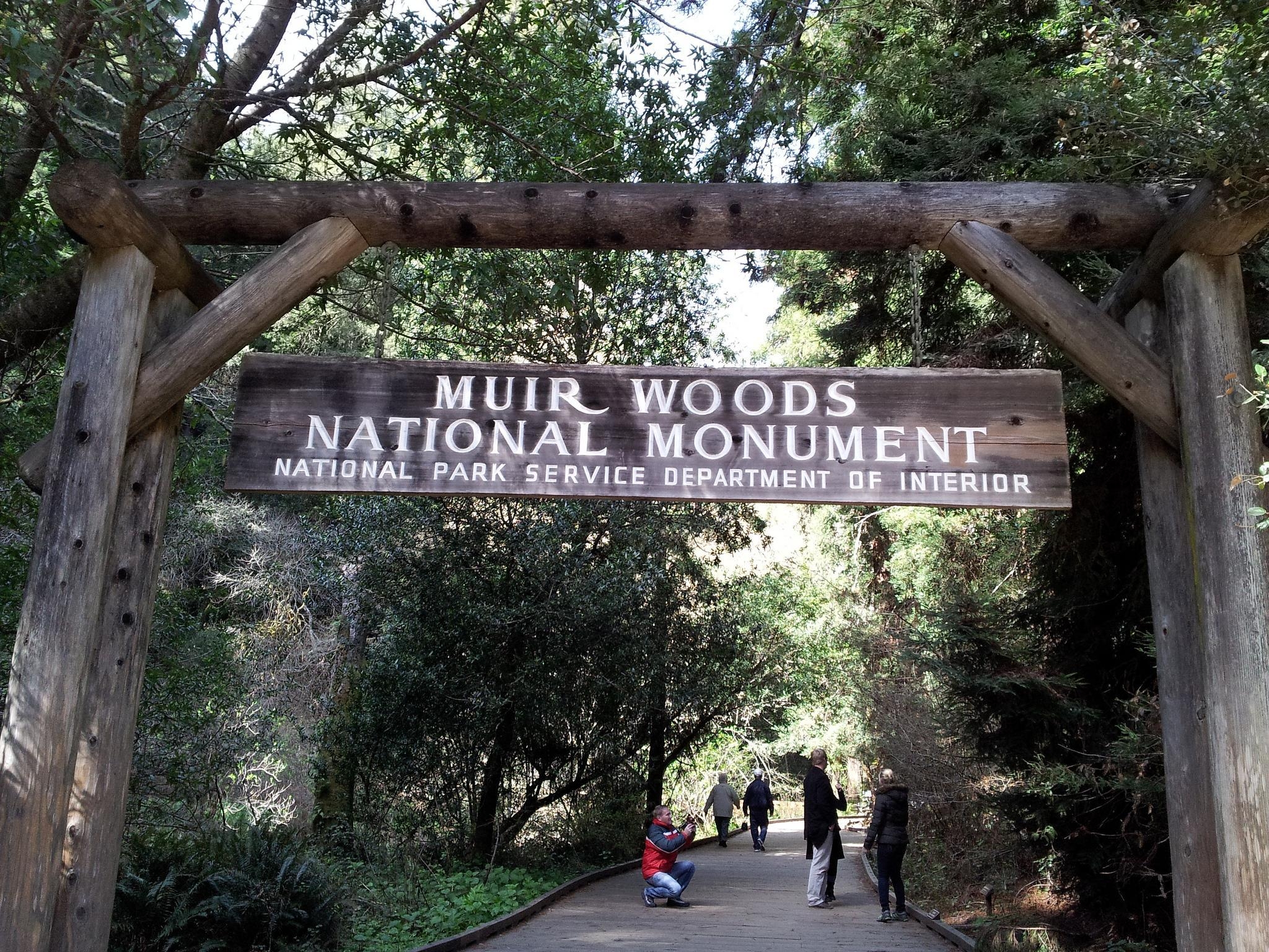 2050x1540 Enter tranquility. Muir Woods National Monument, CA. en.wi, Desktop