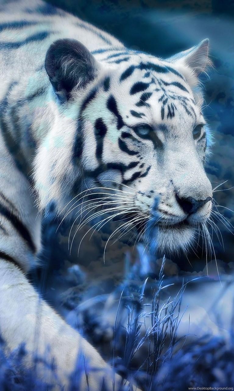 770x1280 White Tiger Wallpaper HD Picture Desktop Background, Phone