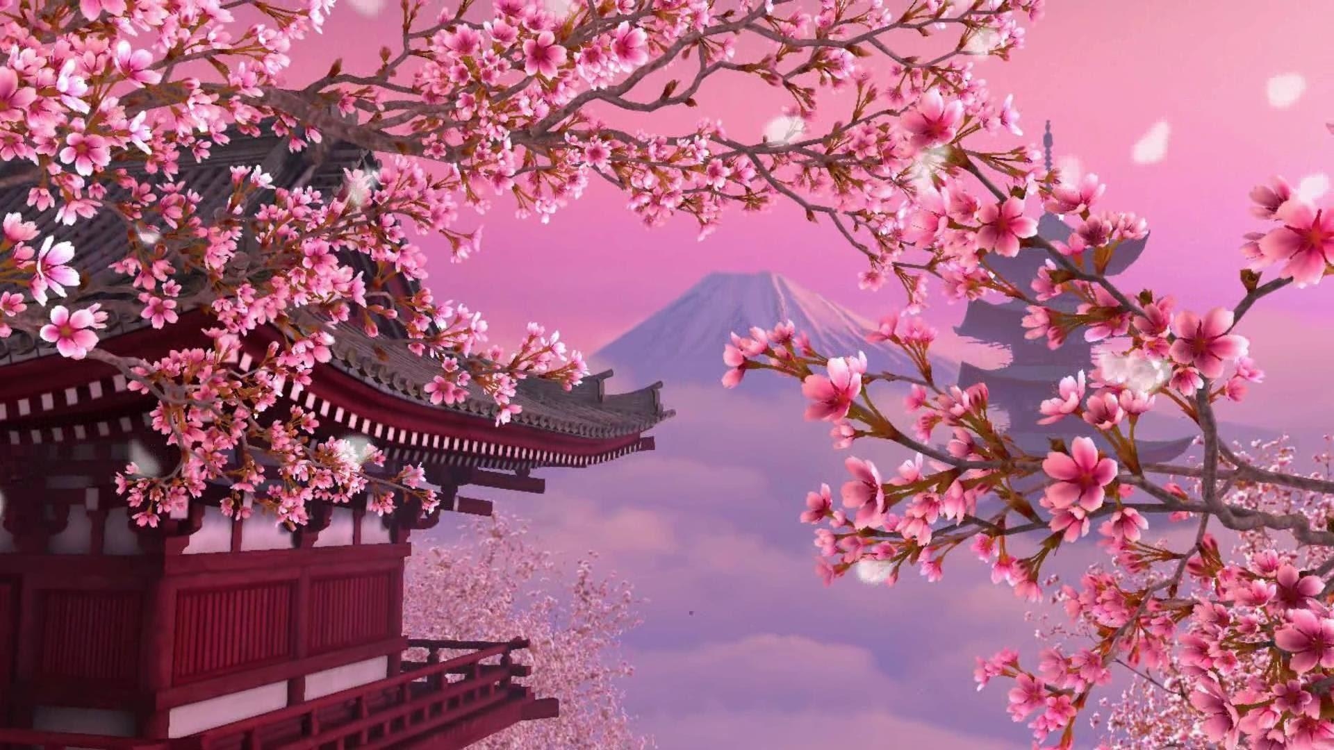 1920x1080 Wallpaper Japan Cherry Blossoms, Desktop