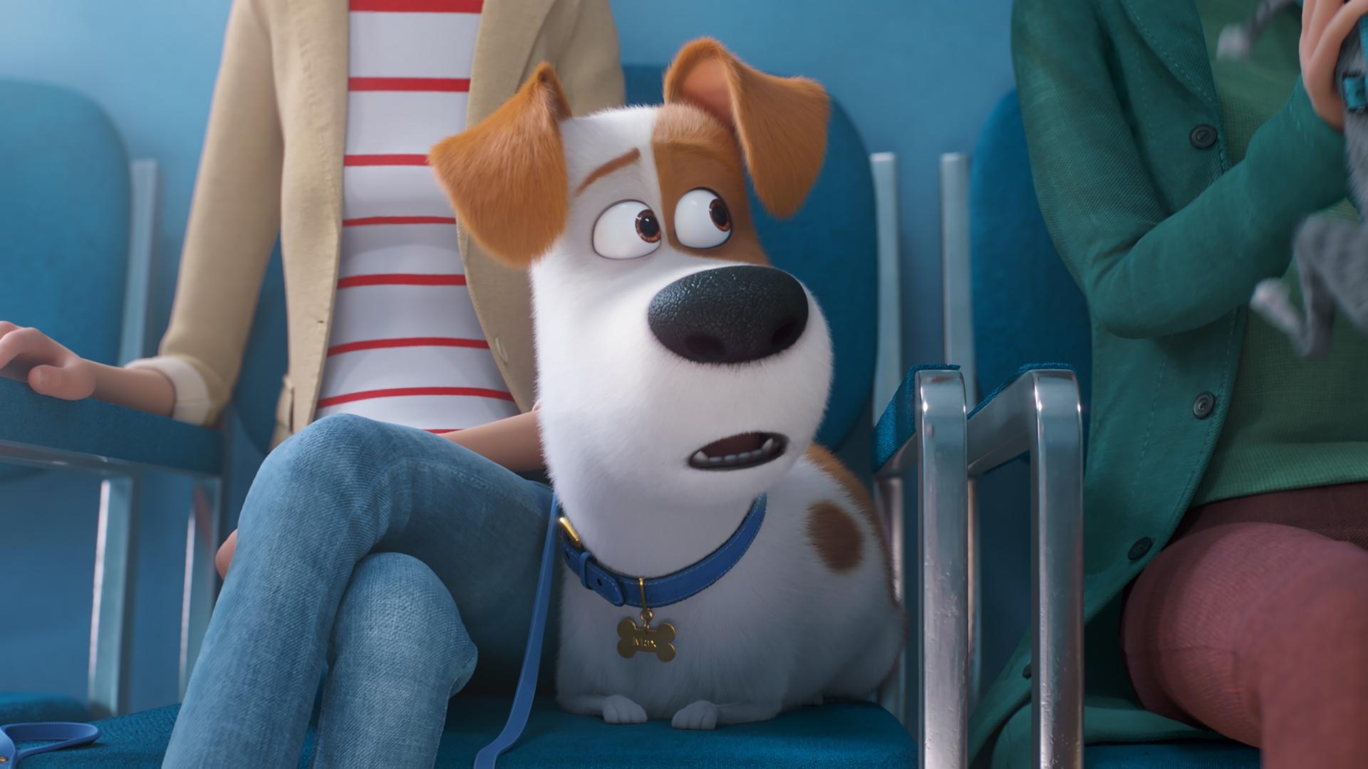 1920x1080 The Secret Life Of Pets 2 review. Movies For Kids, Desktop