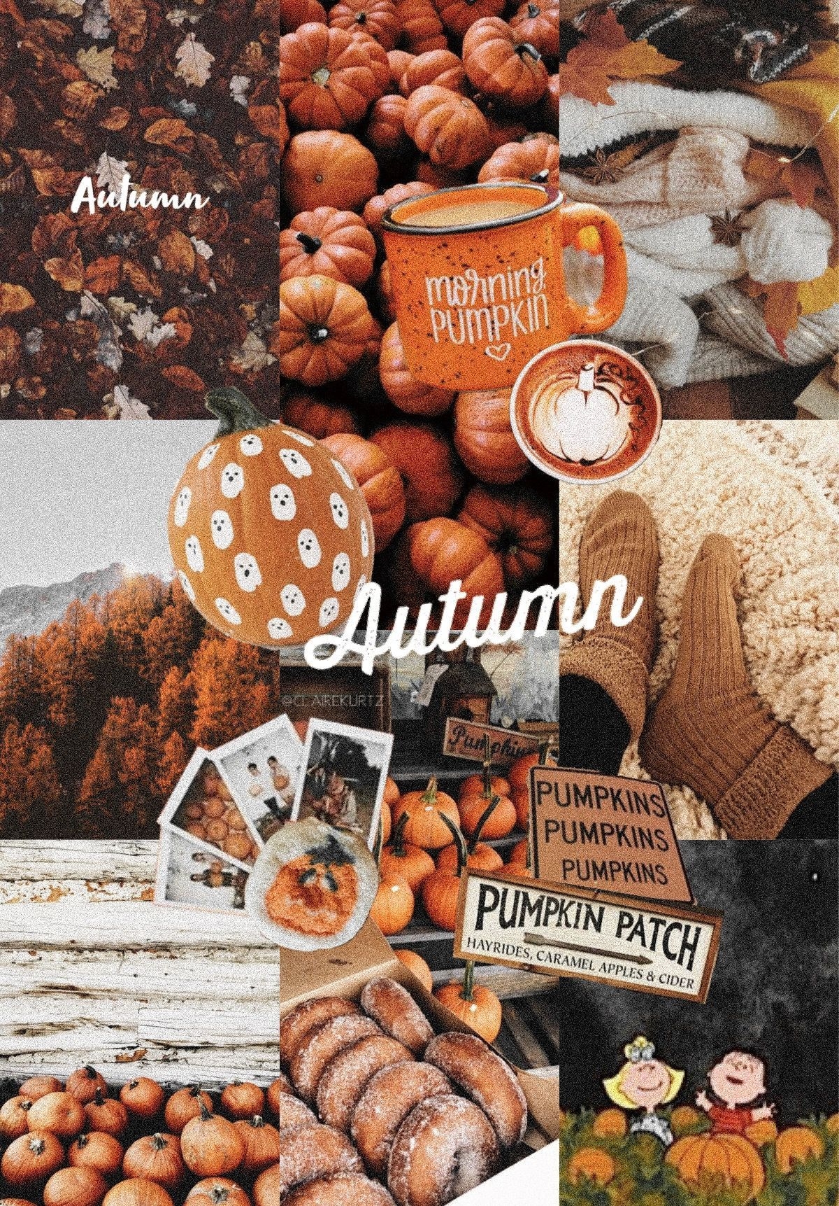 1200x1730 Autumn Fall Aesthetic VSCO Collage iPhone Wallpaper. iPhone wallpaper fall, Halloween wallpaper iphone, Cute fall wallpaper, Phone