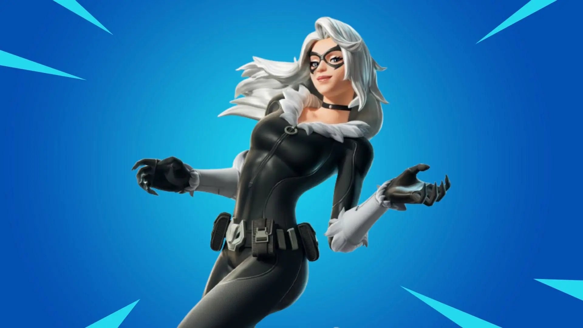 1920x1080 Black Cat Fortnite wallpaper, Desktop