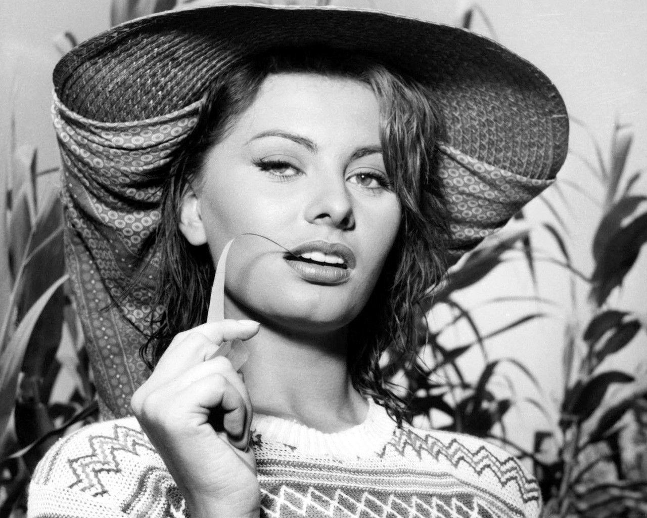 1280x1030 The Stylish Life of Sophia Loren, Desktop