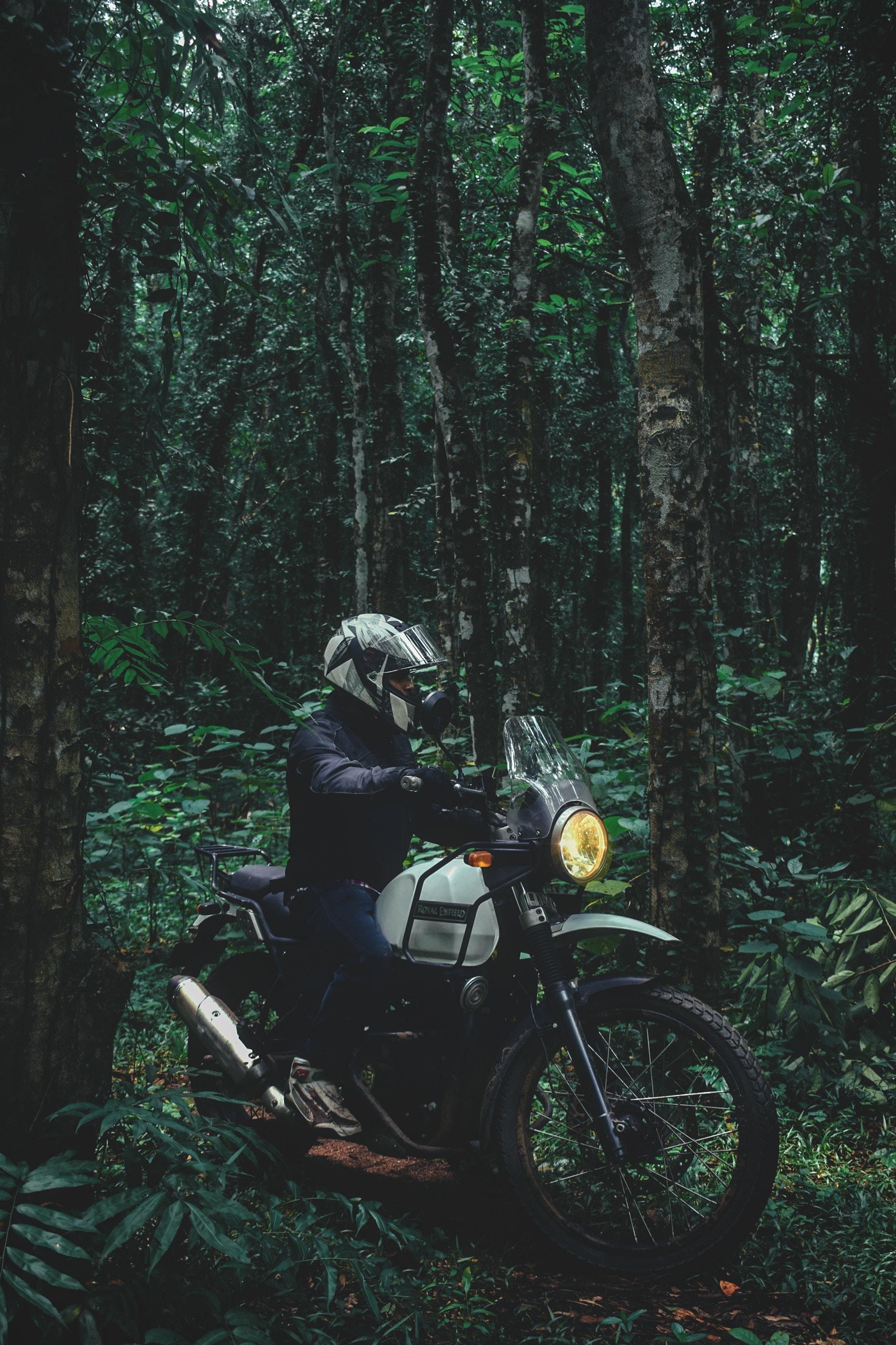 1940x2900 Free of dirtbiker, forest, himalayan, Phone