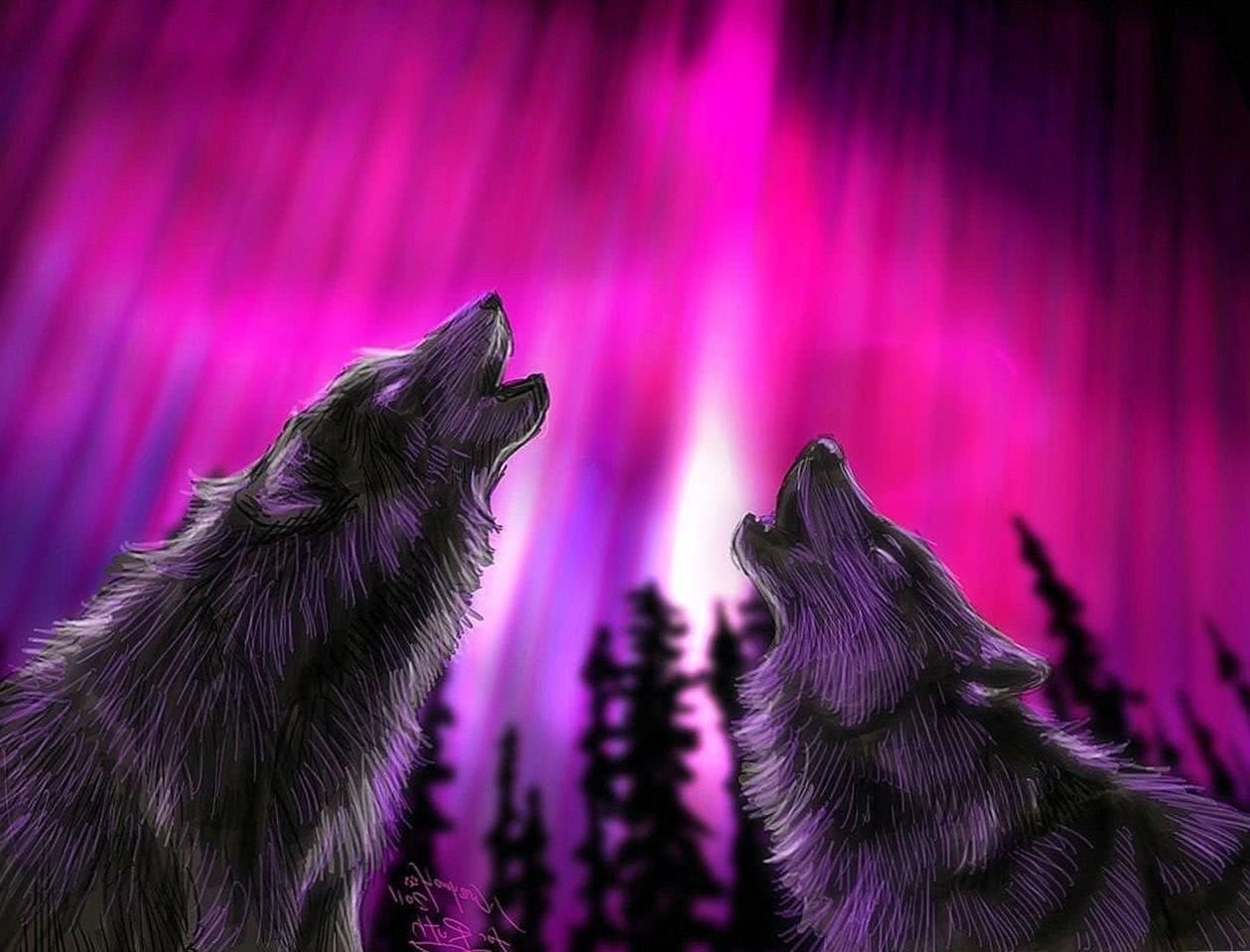 1260x960 Wolf Pink Wallpaper, Desktop