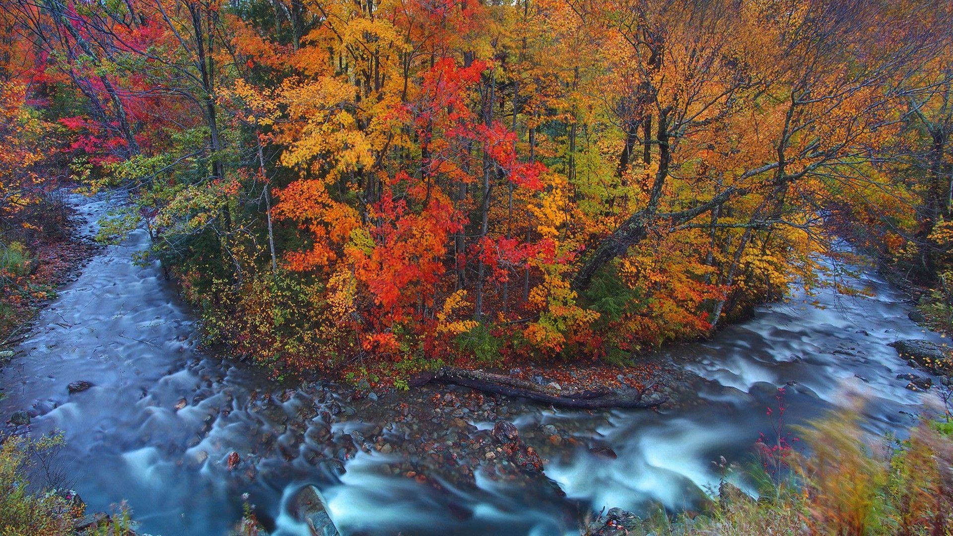 1920x1080 Rivers: River Horseshoe Bend Vermont Autumn Forest Full HD 1080p, Desktop