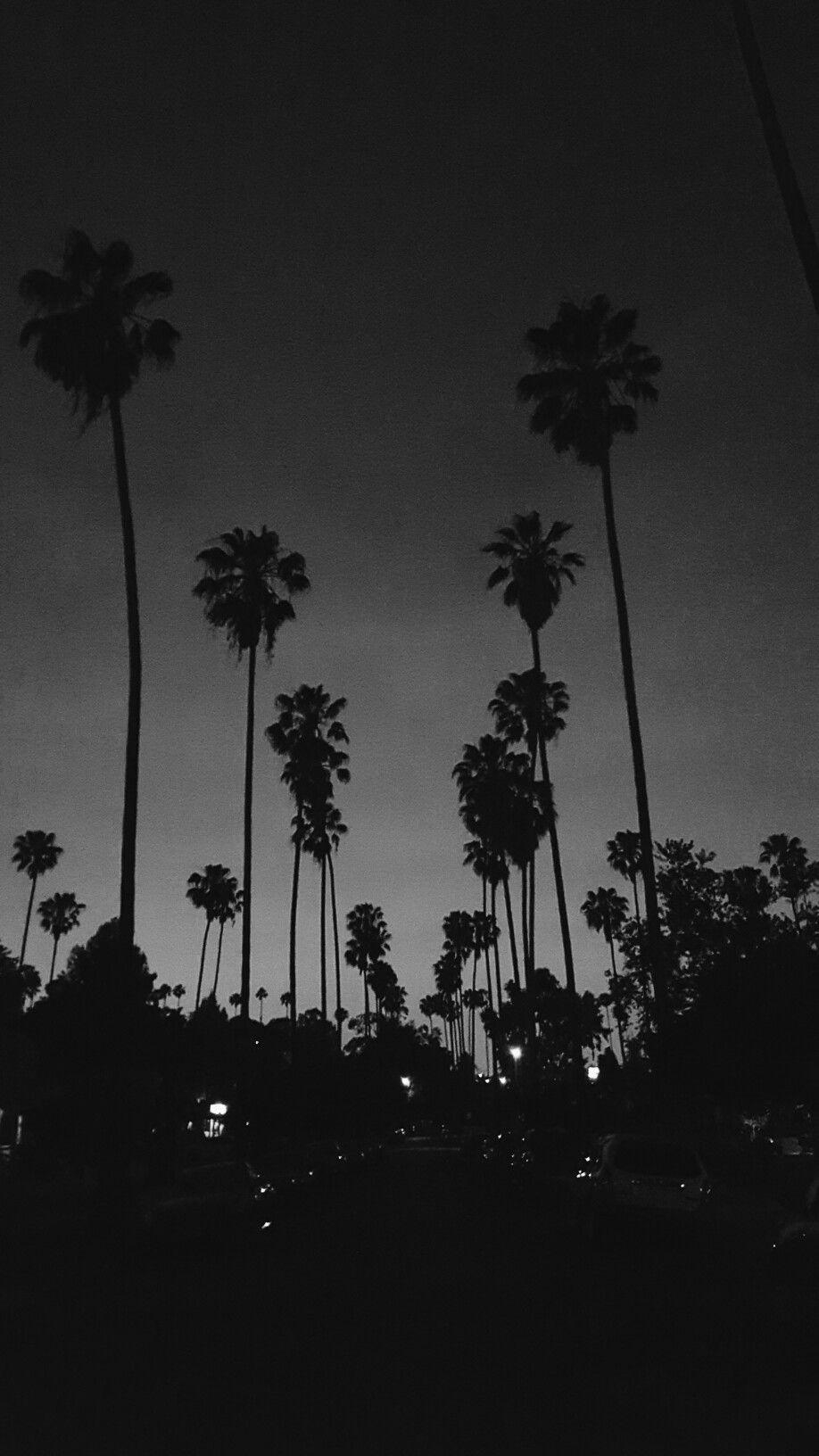 920x1640 LA Vibes. Black aesthetic wallpaper, Black and white picture wall, Black and white aesthetic, Phone