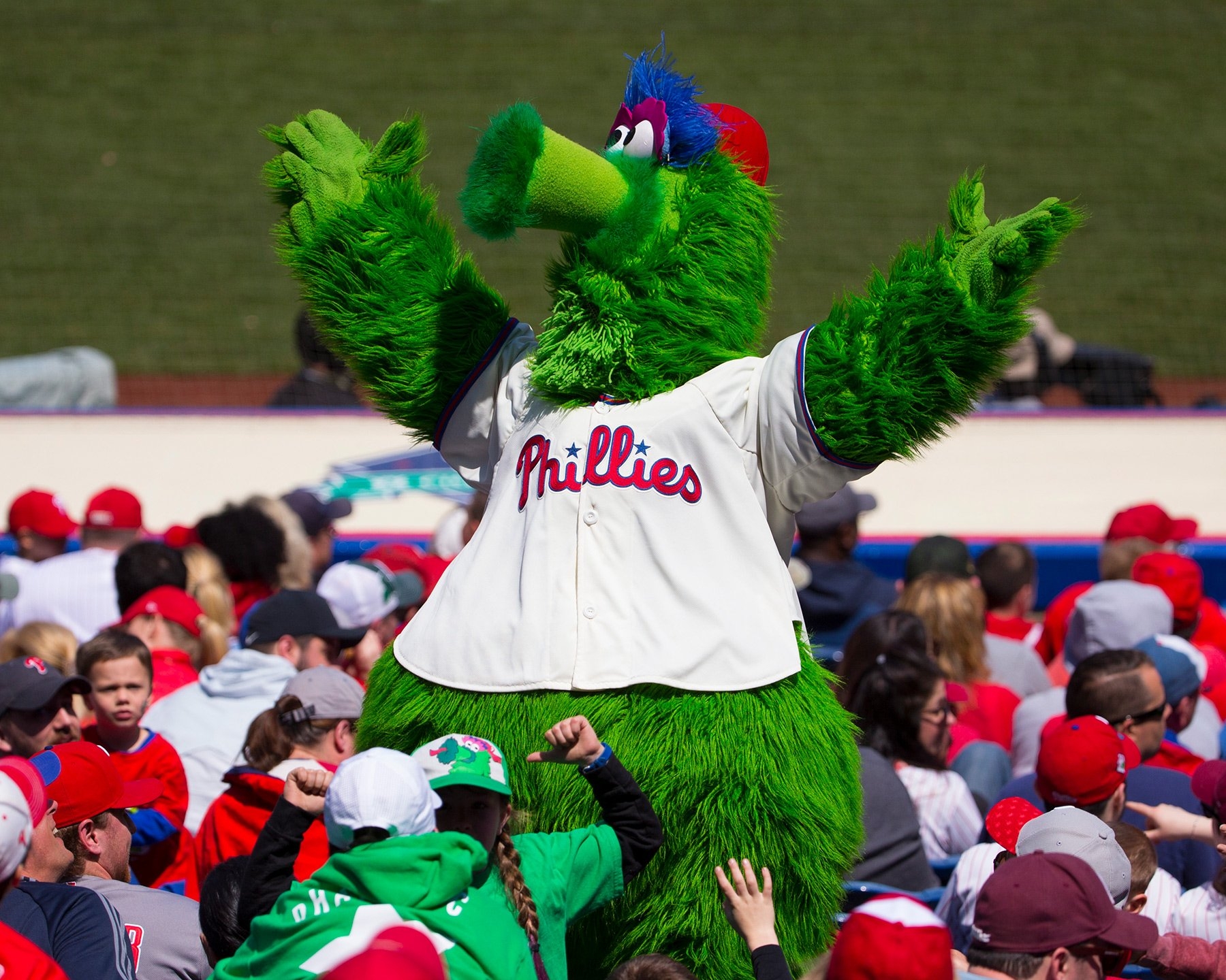 1800x1440 Phillie Phanatic, Desktop