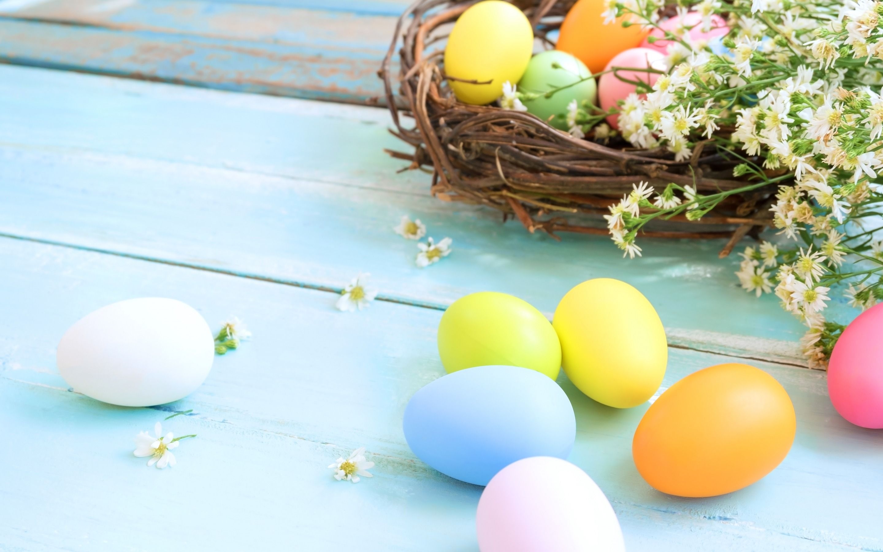 2880x1800 Download wallpaper spring, easter eggs, nest, easter decoration, spring flowers, colorful eggs for desktop with resolution. High Quality HD picture wallpaper, Desktop