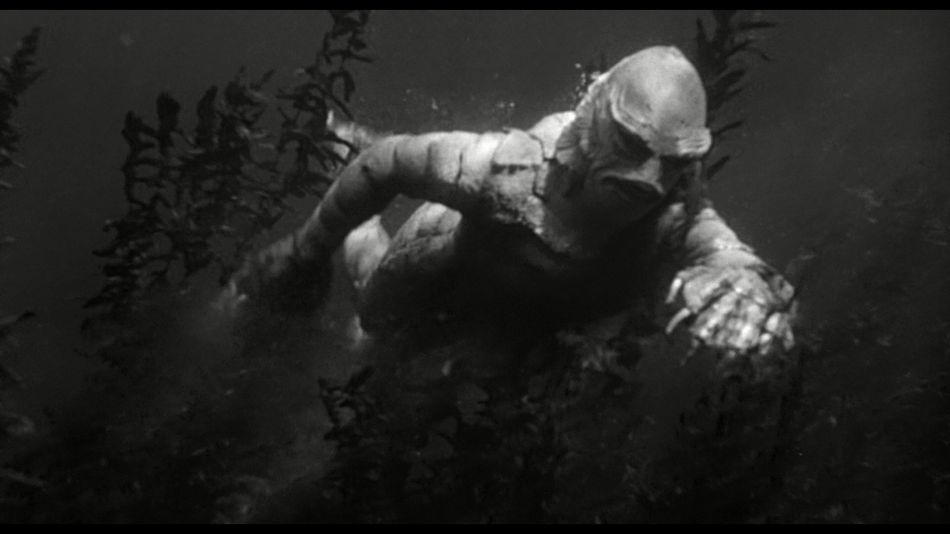 1920x1080 The Creature From Black Lagoon Wallpaper. Black Lagoon Wallpaper, Typhoon Lagoon Wallpaper and Waterfall Lagoon Wallpaper, Desktop