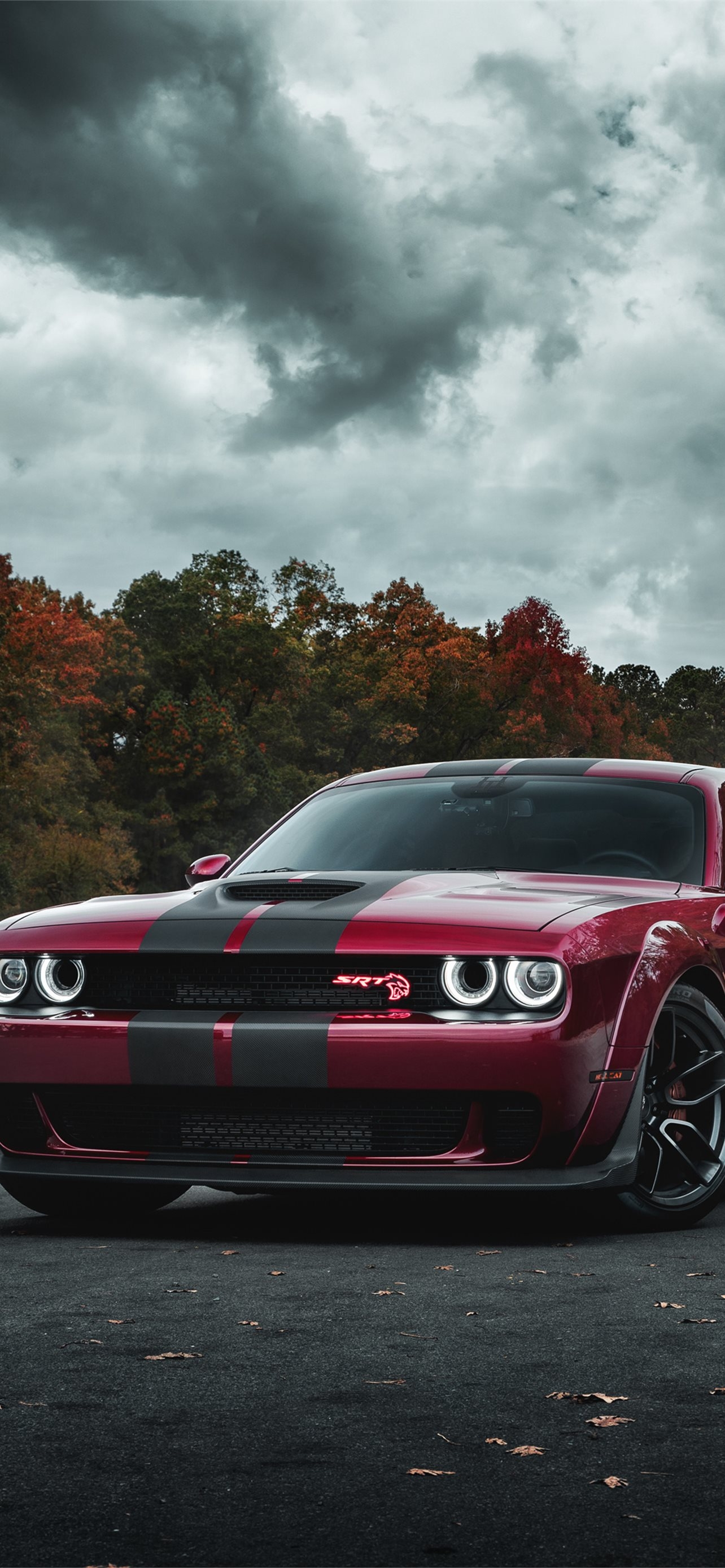 1290x2780 Dodge Challenger SRT Hellcat Widebody Front Look 4. iPhone Wallpaper Free Download, Phone