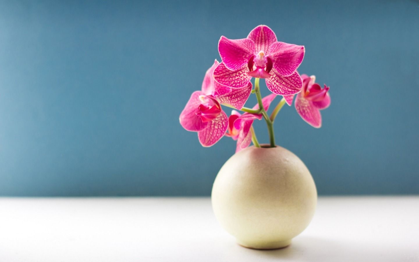 1440x900 Orchid Desktop Background. Orchid, Desktop