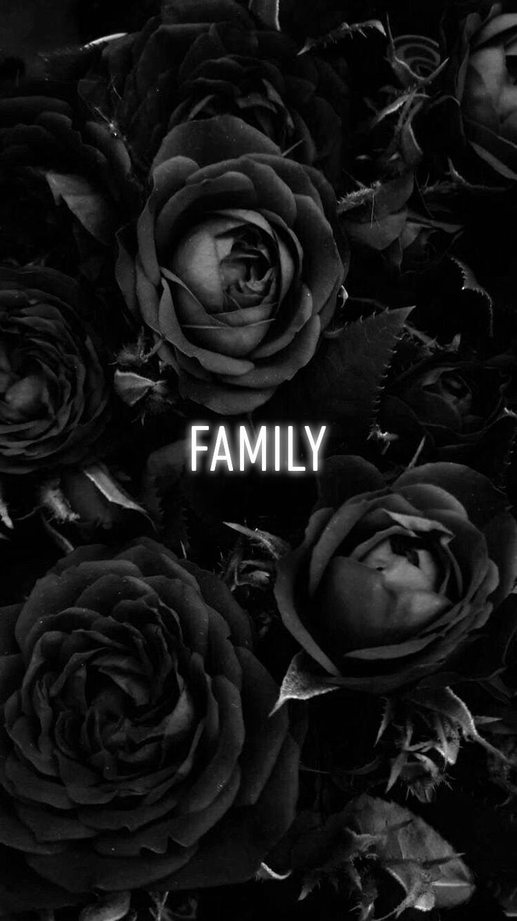 750x1340 Instagram icons. Black roses wallpaper, Cool black wallpaper, Rose wallpaper, Phone