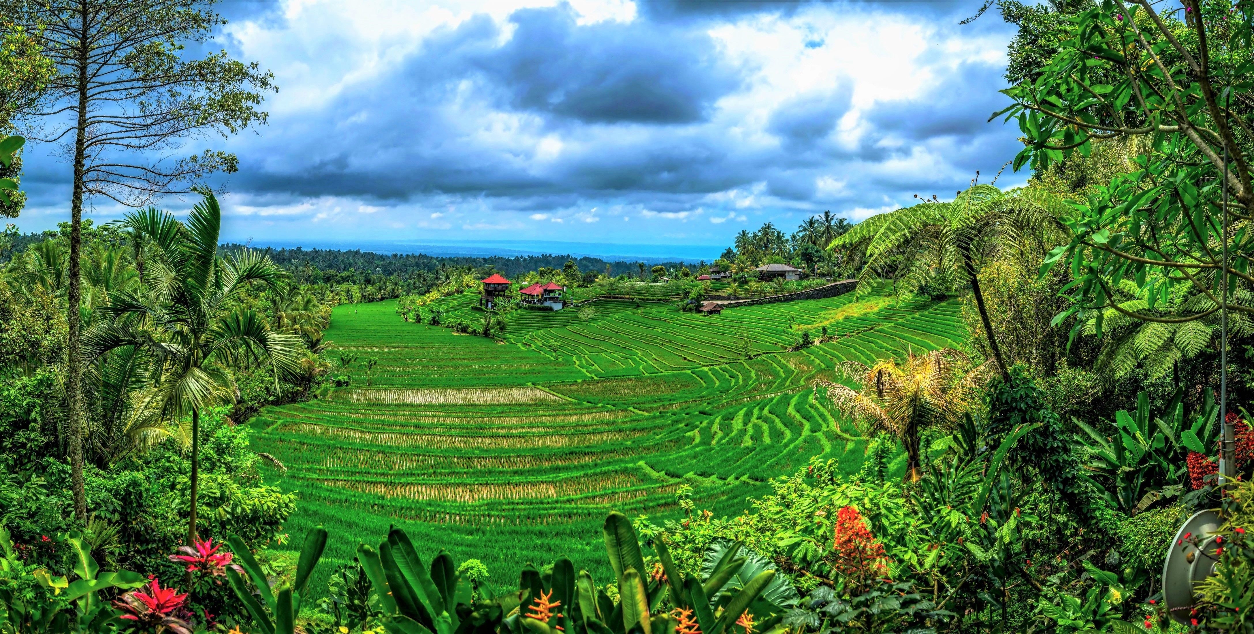 4350x2200 Bali Earth Green Indonesia Landscape Rice Terrace Tree Tropical Wallpaper:, Desktop