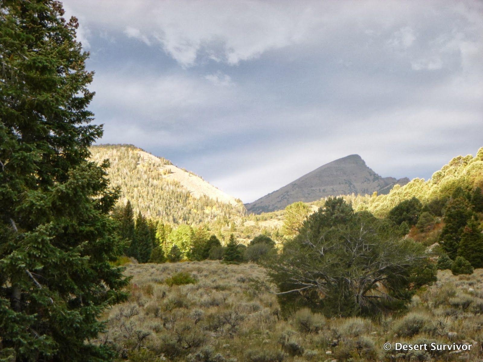 1600x1200 Desert Survivor: Hike to Baker Lake in Great Basin National Park, Desktop