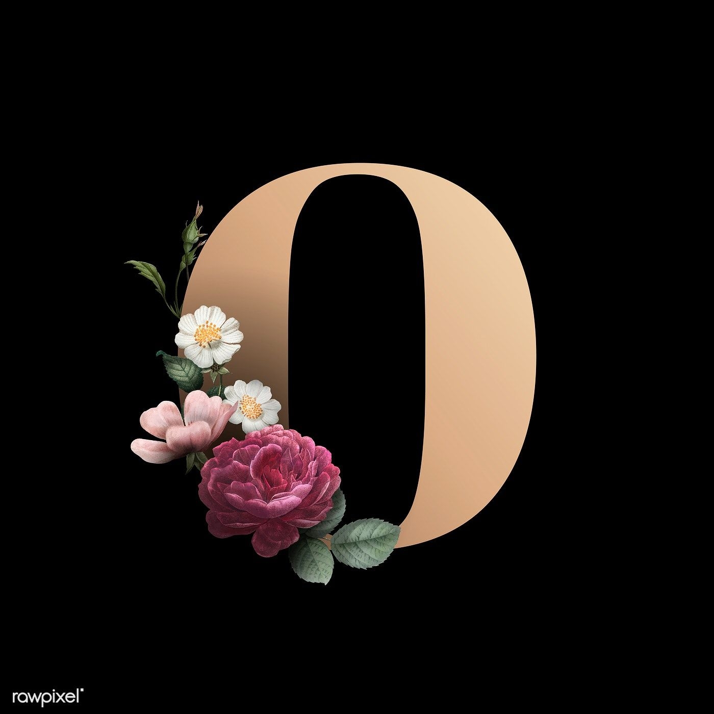 1400x1400 Classic and elegant floral alphabet font letter O vector. free image by rawpixel.com. Schriften alphabet, Buchstaben schriftarten, Alphabet design, Phone