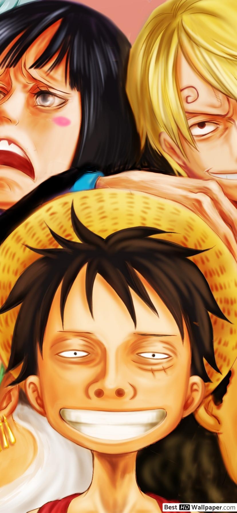 830x1800 One Piece Pirates HD wallpaper download, Phone