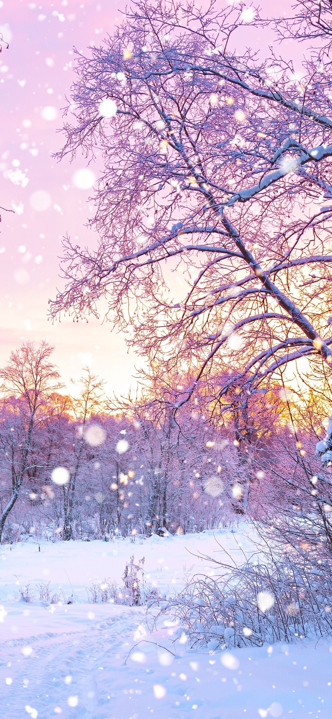 1130x2440 Cute Winter iPhone Wallpaper, Phone