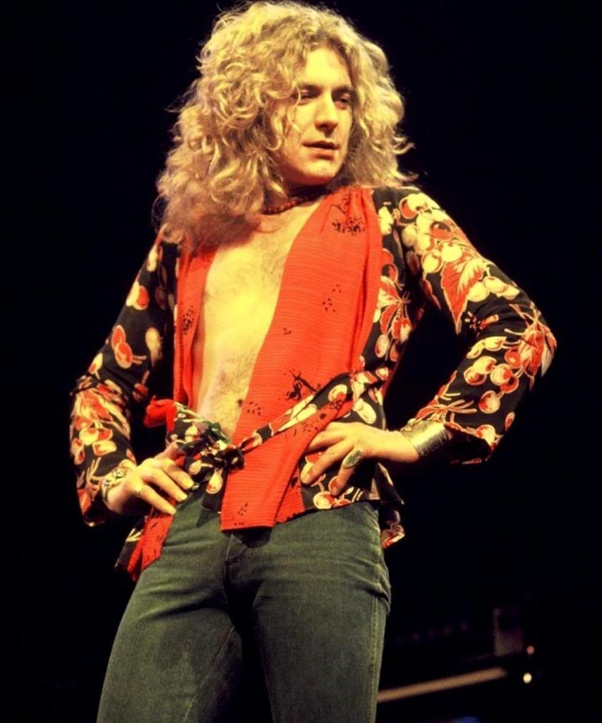 860x1030 Robert Plant HD Wallpaper, Phone