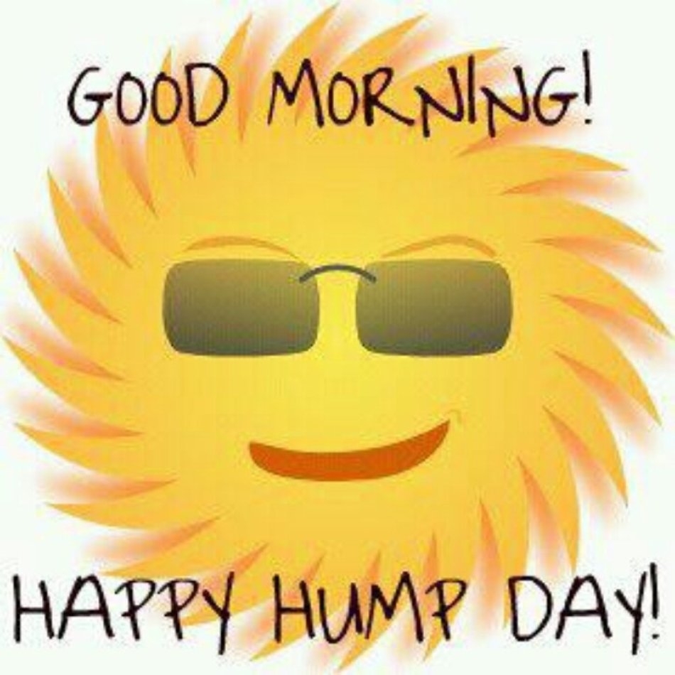 950x950 Good Morning Happy Hump Day Picture Photo And Image For Facebook free image download, Phone