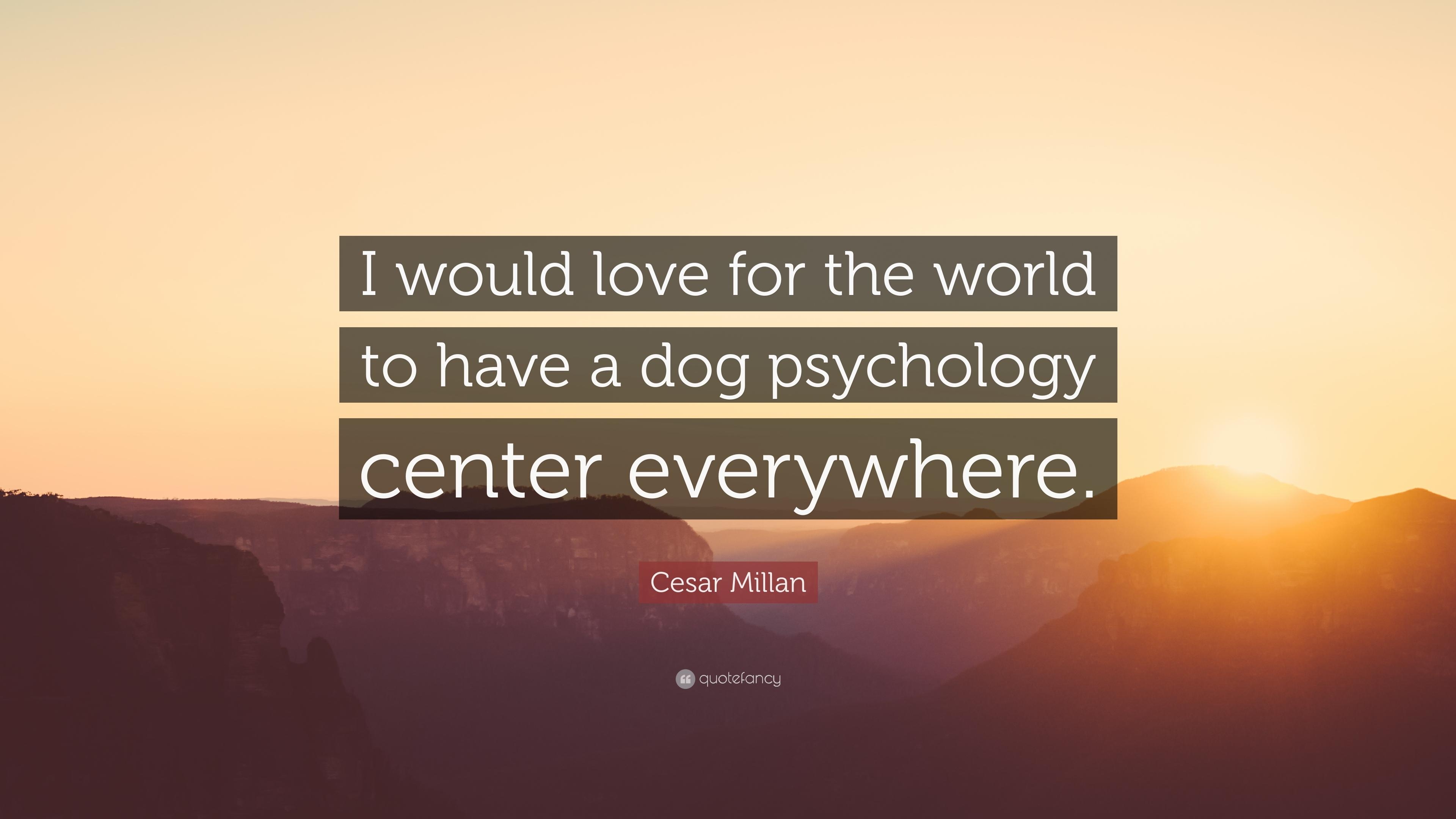 3840x2160 Cesar Millan Quote: “I would love for the world to have a dog, Desktop