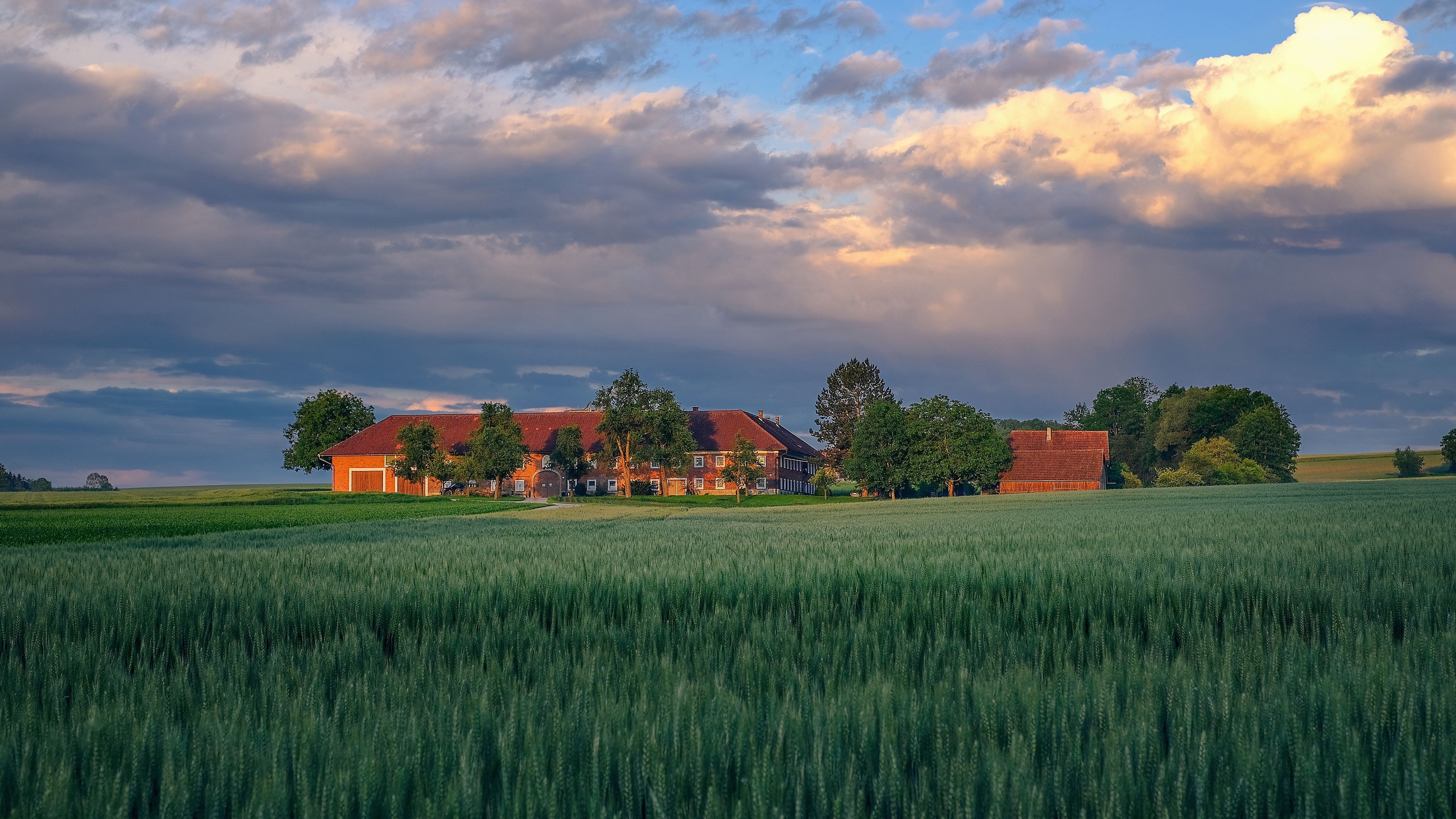 3840x2160 Farm 4K, House, Summer, Sky, Field, Cloud Gallery HD Wallpaper, Desktop