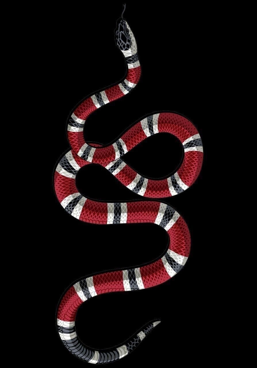 900x1280 Gucci Snake Wallpaper iPhone Xr, Phone