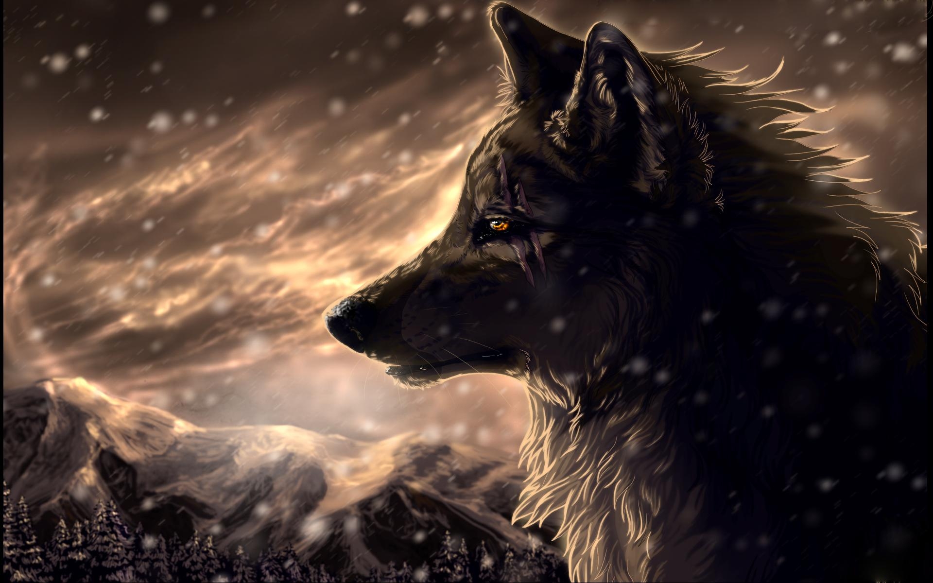 1920x1200 Epic Wolf Wallpaper Free Epic Wolf Background, Desktop