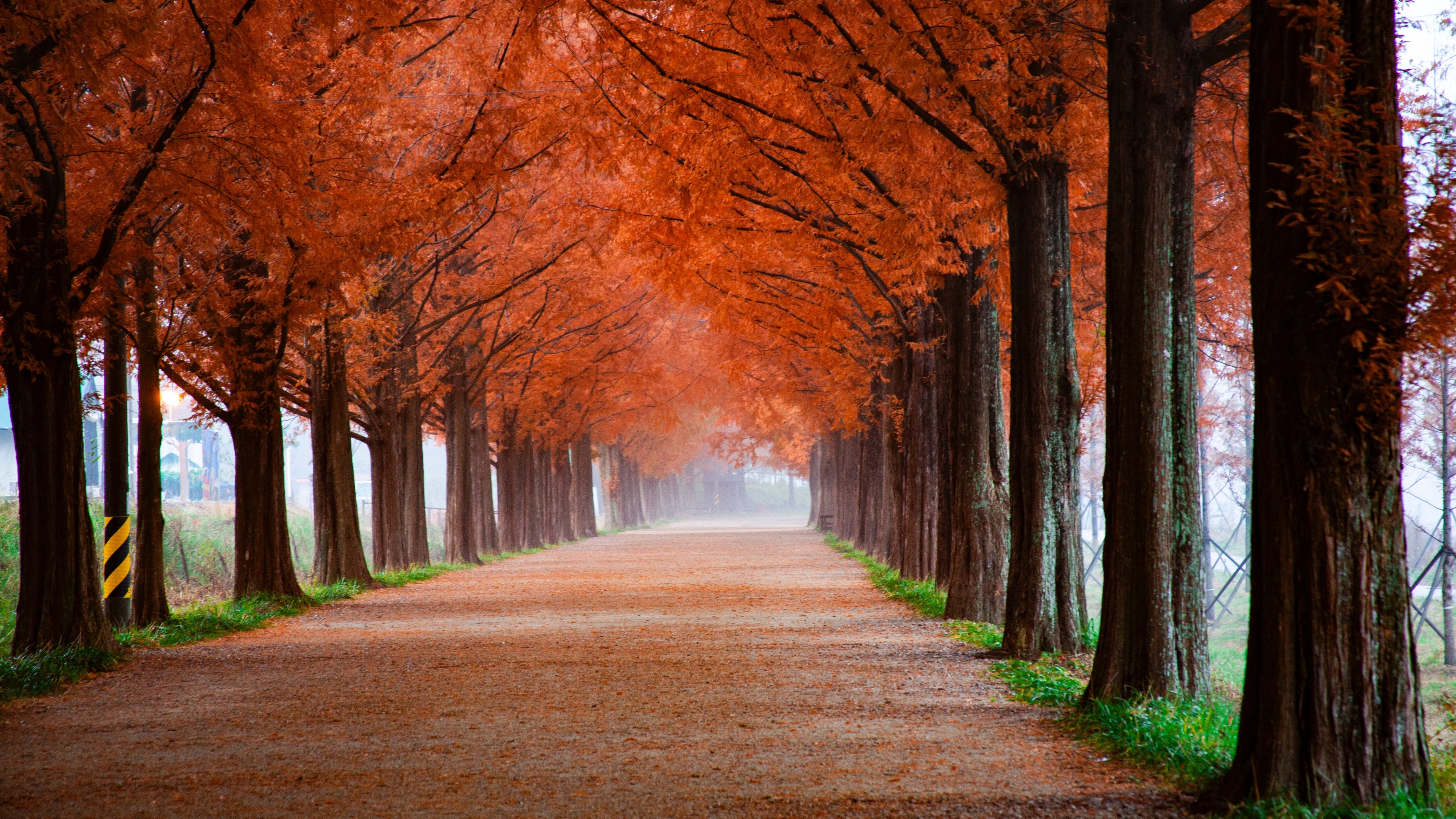 4480x2520 Autumn Wallpaper 4K, Trees, Path, Foggy, Mist, Morning, Fall, 5K, Nature, Desktop