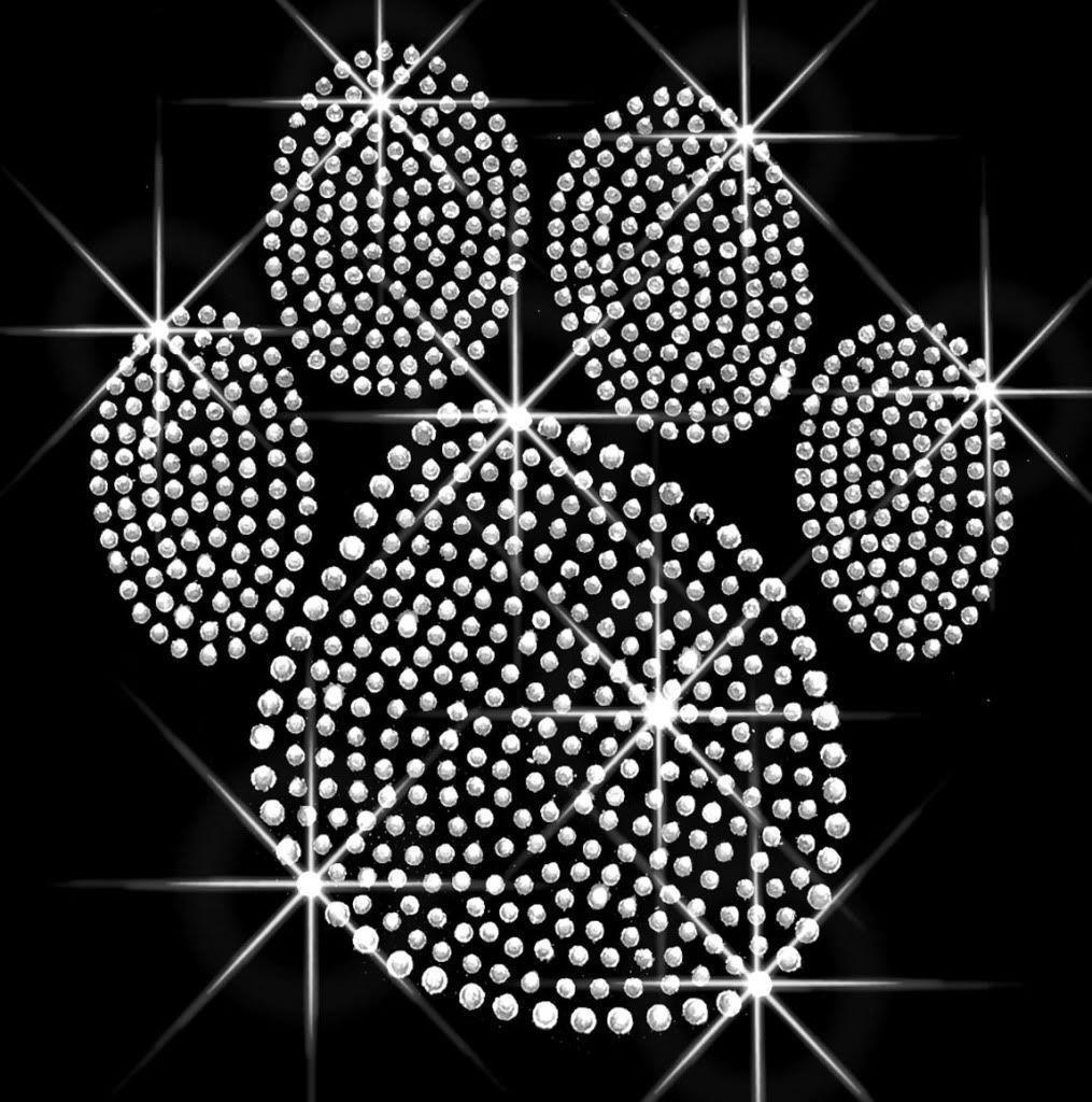 1020x1030 Paw Print Outline Wallpaper, Phone