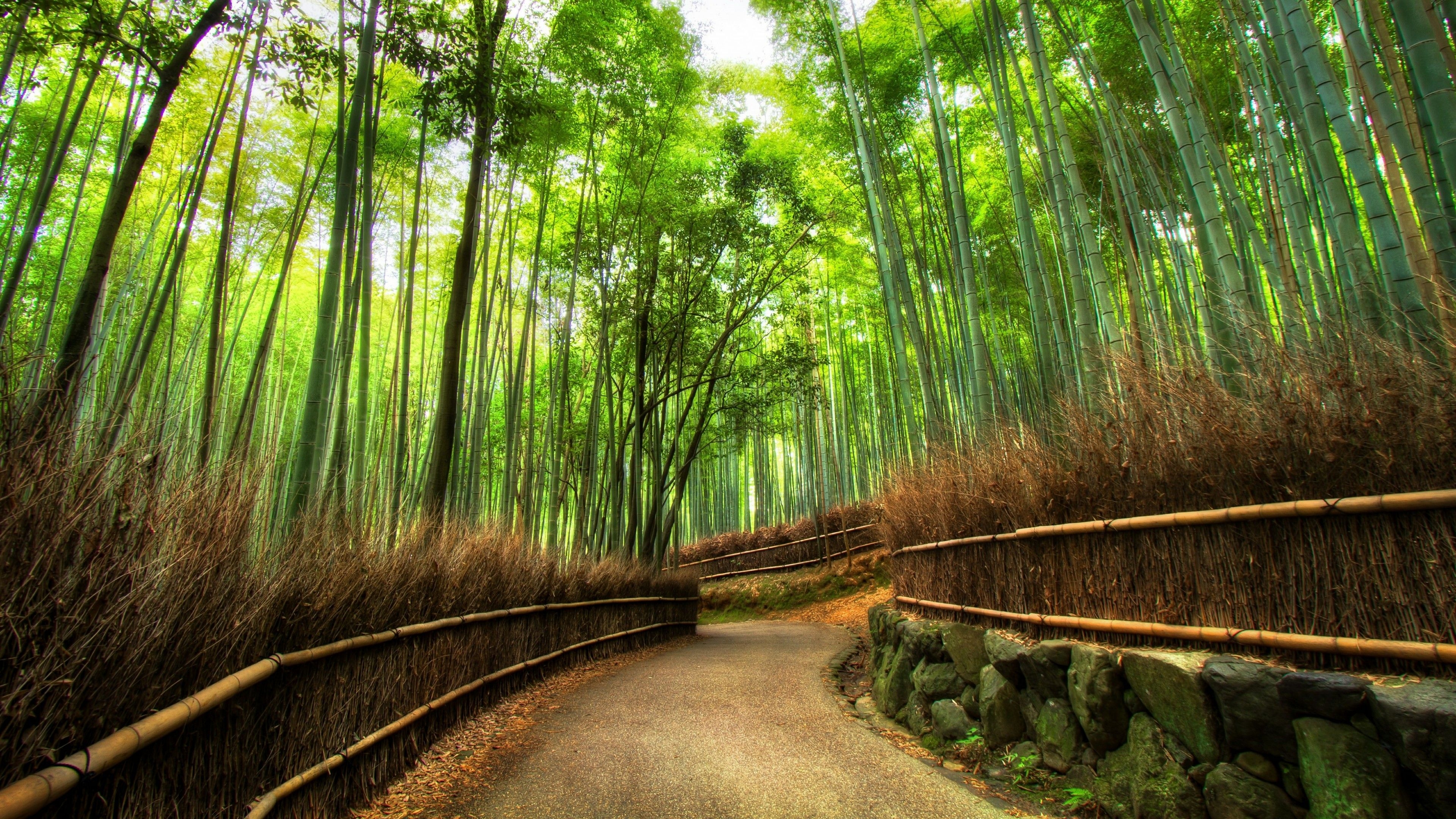 3840x2160 Arashiyama Wallpaper Free Arashiyama Background, Desktop