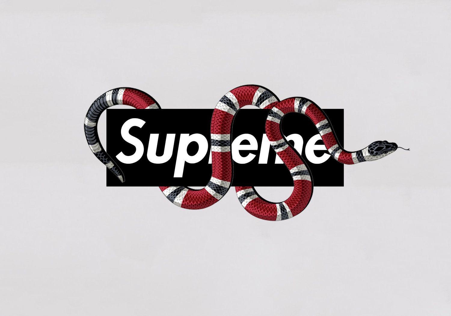 1500x1060 Gucci Snake Supreme Wallpaper, Desktop