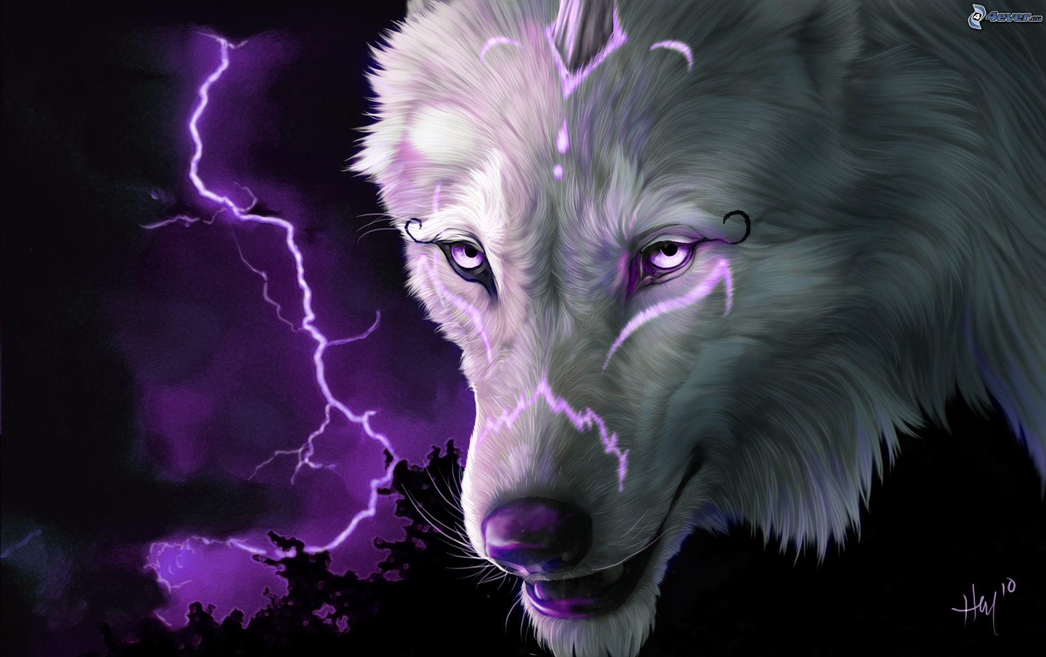 2070x1300 Trippy Wolf Wallpaper, Desktop