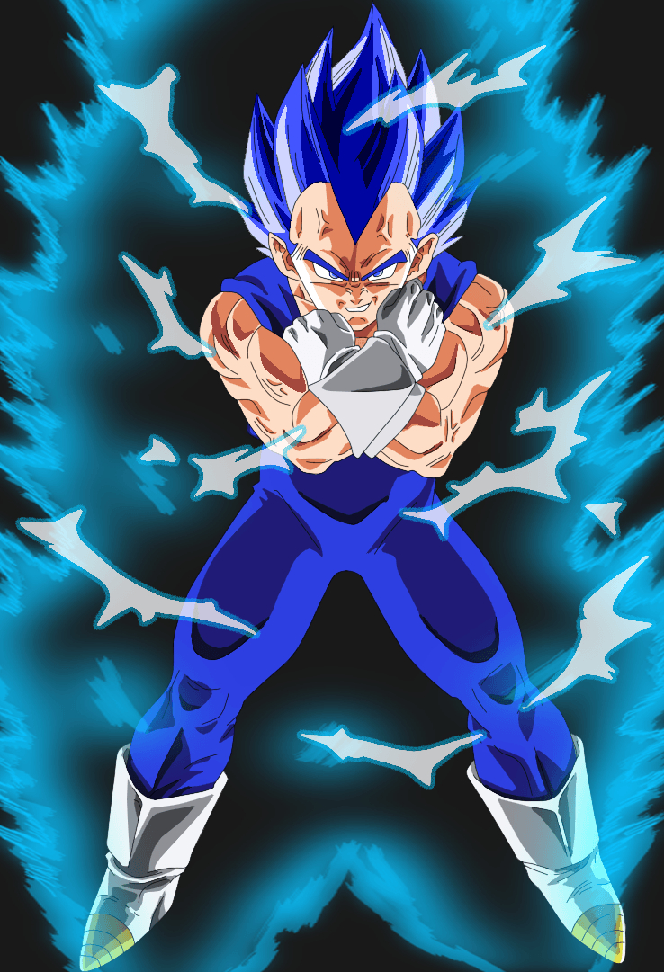 740x1090 vegeta super saiyan god, Phone