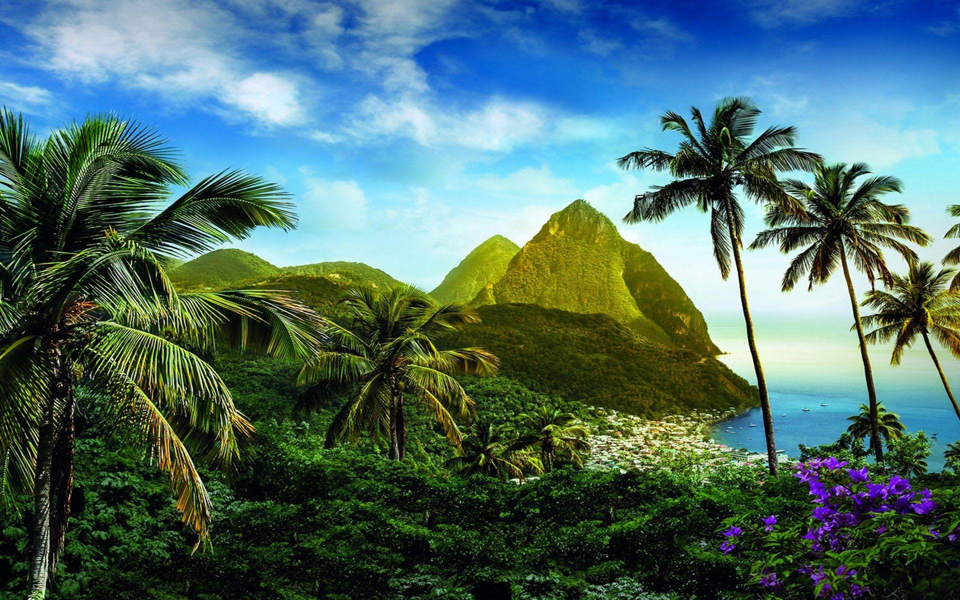 1920x1200 Caribbean HD Wallpaper and Background Image, Desktop