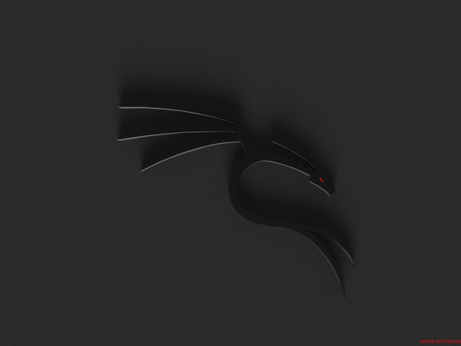 1600x1200 Wallpaper Black Dragon Kali Linux On Desktop.com, Desktop